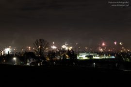 Silvester mit Haustieren:  Worauf achten?