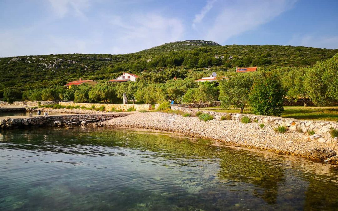 Reise & Urlaub mit Hund