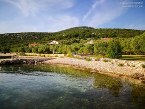 Tipps Zum Spaziergang Ausflug Mit Hund Hunderasseat