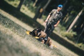 Bundesheer will Corona-Infizierte mit Spürhund finden